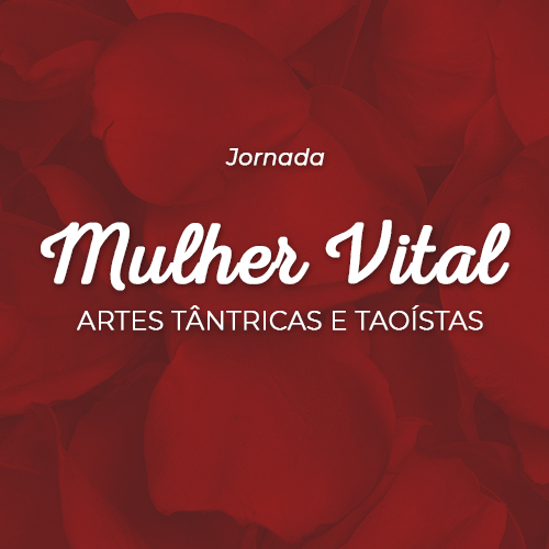 logomarca jornada da mulher vital